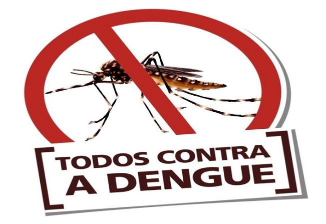 DECRETO Nº 019/2024 - ESTABELECE NORMAS PARA EVITAR A PROPAGAÇÃO DE DOENÇAS TRANSMITIDAS  POR VETORES DA DENGUE NO  MUNICÍPIO DE CRISSIUMAL